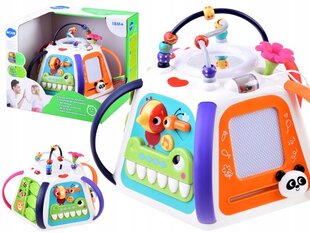 Interaktyvus edukacinis kubas Hola kaina ir informacija | Žaislai kūdikiams | pigu.lt