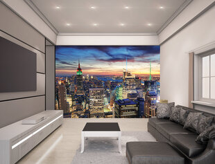 Фотообои New York City Skyline 243,84 x 304,80 см цена и информация | Детские фотообои | pigu.lt