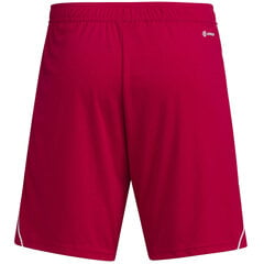 Spodenki męskie adidas Tiro 23 League czerwone IB8082 58825-283 цена и информация | Мужская спортивная одежда | pigu.lt