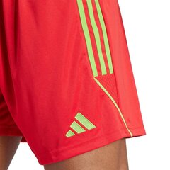 Sportiniai šortai vyrams Adidas IB8090 59840-283, raudoni цена и информация | Мужская спортивная одежда | pigu.lt