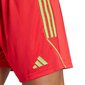 Sportiniai šortai vyrams Adidas IB8090 59840-283, raudoni цена и информация | Sportinė apranga vyrams | pigu.lt