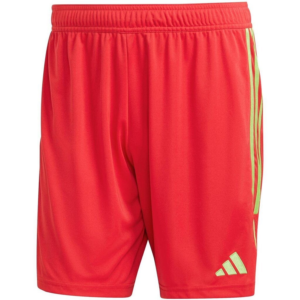 Sportiniai šortai vyrams Adidas IB8090 59840-283, raudoni kaina ir informacija | Sportinė apranga vyrams | pigu.lt