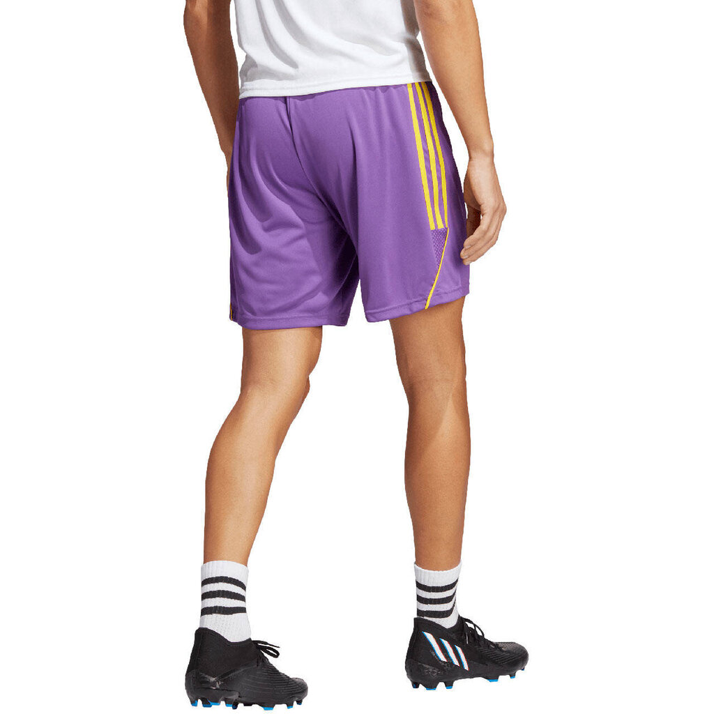 Sportiniai šortai vyrams Adidas IB8089 59842-283, violetiniai kaina ir informacija | Sportinė apranga vyrams | pigu.lt