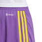 Sportiniai šortai vyrams Adidas IB8089 59842-283, violetiniai цена и информация | Sportinė apranga vyrams | pigu.lt