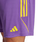 Sportiniai šortai vyrams Adidas IB8089 59842-283, violetiniai цена и информация | Sportinė apranga vyrams | pigu.lt