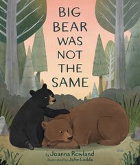 Big Bear Was Not the Same цена и информация | Книги для подростков  | pigu.lt