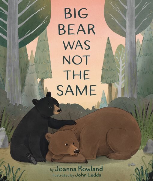 Big Bear Was Not the Same цена и информация | Knygos paaugliams ir jaunimui | pigu.lt