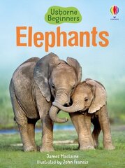 Elephants цена и информация | Книги для подростков  | pigu.lt