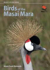 Birds of the Masai Mara цена и информация | Книги о питании и здоровом образе жизни | pigu.lt