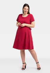 Suknelė moterims Karko Iryna, raudona kaina ir informacija | Suknelės | pigu.lt
