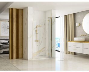 REA HUGO 100 šlifuoto aukso dušo durys kaina ir informacija | Dušo durys ir sienelės | pigu.lt