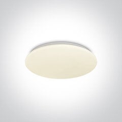 ONELight потолочный светильник LED Plafo 62026B/W цена и информация | Потолочные светильники | pigu.lt