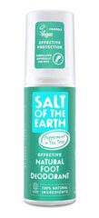 Спрей-дезодорант для ног Salt of the Earth Foot Spray, 100 мл цена и информация | Дезодоранты | pigu.lt