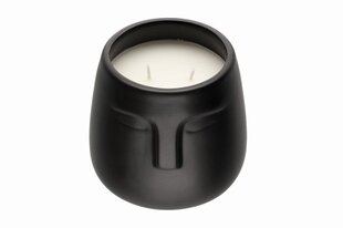 Свеча Polar, 10.8 см цена и информация | Подсвечники, свечи | pigu.lt