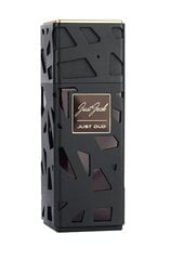 Kvapusis vanduo Just Jack Men's Just Oud EDP vyrams, 100 ml kaina ir informacija | Kvepalai vyrams | pigu.lt