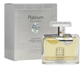 Flavia Platinum EDP для мужчин, 100 мл цена и информация | Мужские духи | pigu.lt