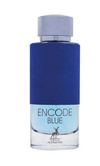Духи мужские Maison Alhambra Encode Blue Original EDP, 100 мл цена и информация | Мужские духи | pigu.lt