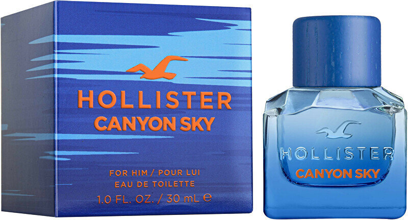 Tualetinis vanduo Hollister Canyon Sky EDT vyrams, 100 ml цена и информация | Kvepalai vyrams | pigu.lt