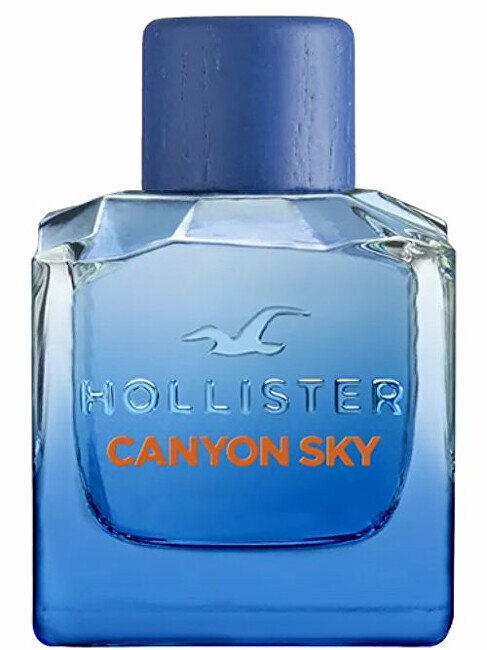 Tualetinis vanduo Hollister Canyon Sky EDT vyrams, 100 ml kaina ir informacija | Kvepalai vyrams | pigu.lt