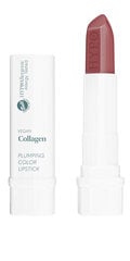 Губная помада VEGAN COLLAGEN Plumping Color Lipstick 01 Choco цена и информация | Помады, бальзамы, блеск для губ | pigu.lt