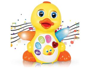 Interaktyvus muzikinis žaislas Hola Duck ZA1178 цена и информация | Игрушки для малышей | pigu.lt