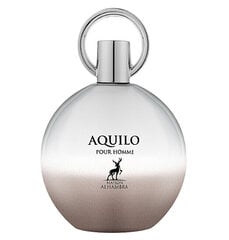 Парфюмированная вода Maison Alhambra Aquilo Pour Homme EDP для мужчин, 100 мл цена и информация | Мужские духи | pigu.lt