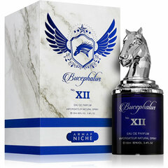 Kvapusis vanduo Armaf Bucephalus XII Blue EDP vyrams, 100 ml kaina ir informacija | Kvepalai vyrams | pigu.lt