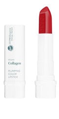 Putlinantys lūpų dažai Bell Vegan Collagen Plumping Color Lipstick, 04 Fire, 8 g kaina ir informacija | Lūpų dažai, blizgiai, balzamai, vazelinai | pigu.lt