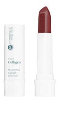 Губная помада VEGAN COLLAGEN Plumping Color Lipstick 06 Cherry цена и информация | Помады, бальзамы, блеск для губ | pigu.lt