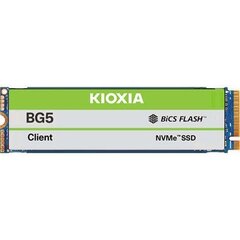 Kioxia BG5 KBG50ZNV512G kaina ir informacija | Vidiniai kietieji diskai (HDD, SSD, Hybrid) | pigu.lt