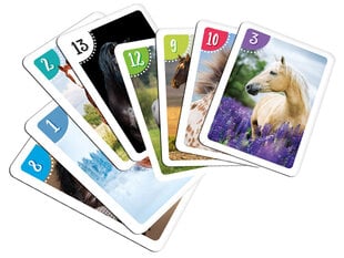 Питер Карточная развивающая игра - Лошади цена и информация | Развивающие игрушки | pigu.lt