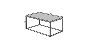 Kavos staliukas ADRK Furniture Narisa 100x60 cm, šviesiai rudas/juodas kaina ir informacija | Kavos staliukai | pigu.lt