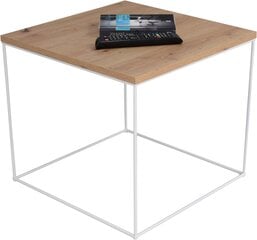 Kavos staliukas ADRK Furniture Elena 50x50 cm, rudas/baltas kaina ir informacija | Kavos staliukai | pigu.lt