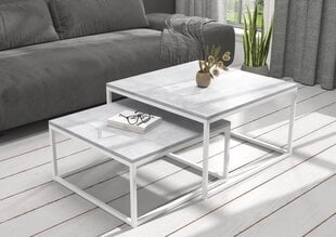 Kavos staliukų komplektas ADRK Furniture Kama, pilkas/baltas kaina ir informacija | Kavos staliukai | pigu.lt