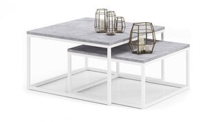 Kavos staliukų komplektas ADRK Furniture Kama, pilkas/baltas kaina ir informacija | Kavos staliukai | pigu.lt