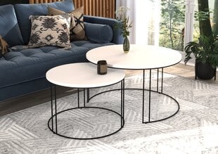 Комплект кофейных столиков ADRK Furniture Etta, белый/черный цвет цена и информация | Журнальные столики | pigu.lt