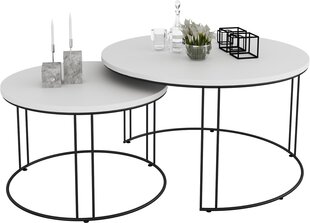 Комплект кофейных столиков ADRK Furniture Etta, белый/черный цвет цена и информация | Журнальные столы | pigu.lt