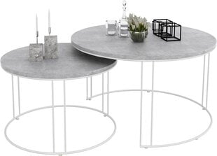 Комплект кофейных столиков ADRK Furniture Etta, серый/белый цвет цена и информация | Журнальные столы | pigu.lt