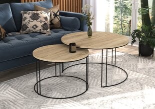 Комплект кофейных столиков ADRK Furniture Etta, светло-коричневый/черный цвет цена и информация | Журнальные столы | pigu.lt