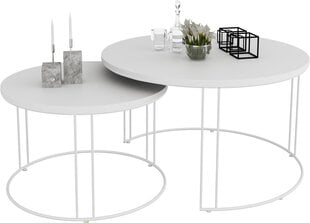 Комплект кофейных столиков ADRK Furniture Etta, белый цвет цена и информация | Журнальные столы | pigu.lt