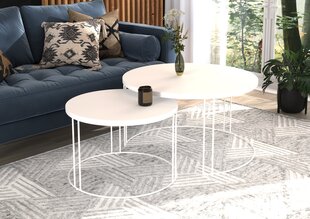 Комплект кофейных столиков ADRK Furniture Etta, белый цвет цена и информация | Журнальные столы | pigu.lt