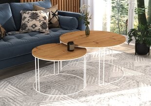 Комплект кофейных столиков ADRK Furniture Etta, коричневый/белый цвет цена и информация | Журнальные столики | pigu.lt