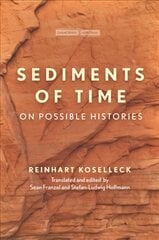Sediments of Time: On Possible Histories kaina ir informacija | Istorinės knygos | pigu.lt