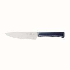 Opinel peilis, 17 cm kaina ir informacija | Opinel Virtuvės, buities, apyvokos prekės | pigu.lt