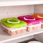 Contare kiaušinių dėžutė šaldytuvui, 1x24 vnt. kaina ir informacija | Maisto saugojimo  indai | pigu.lt