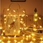 Kalėdinė girlianda, 50 LED, 5 m kaina ir informacija | Girliandos | pigu.lt