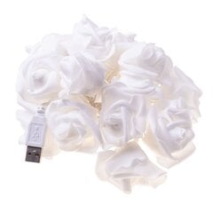 Girlianda Rose, 20 LED kaina ir informacija | Girliandos | pigu.lt