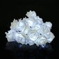 Girlianda Rose, 20 LED цена и информация | Girliandos | pigu.lt