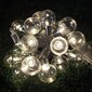 Girlianda, 10 LED, 2,5m цена и информация | Girliandos | pigu.lt