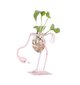 Vaza Flamingas kaina ir informacija | Vazos | pigu.lt